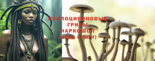 mix Новодвинск