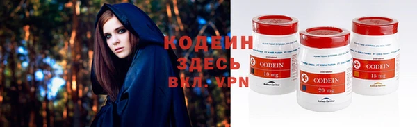гидра Новозыбков