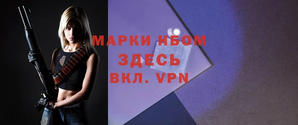 гидра Новозыбков
