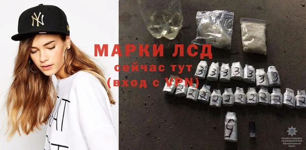 гидра Новозыбков