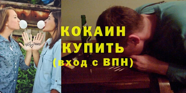 гидра Новозыбков