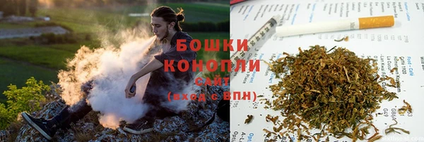 гидра Новозыбков