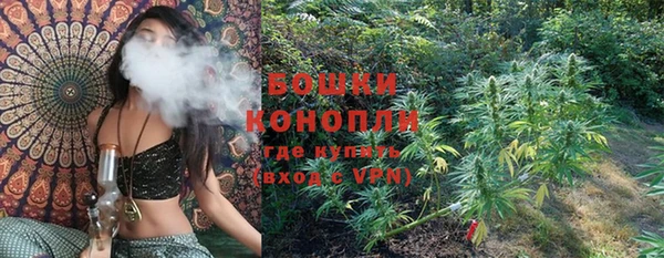 гидра Новозыбков