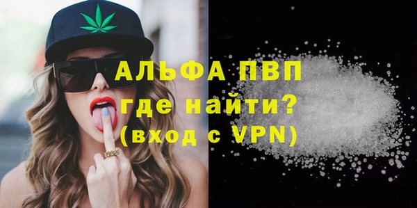 гидра Новозыбков