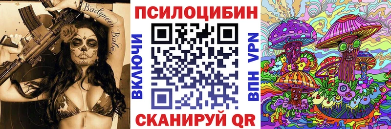 Псилоцибиновые грибы Psilocybe  купить наркоту  Новоульяновск 